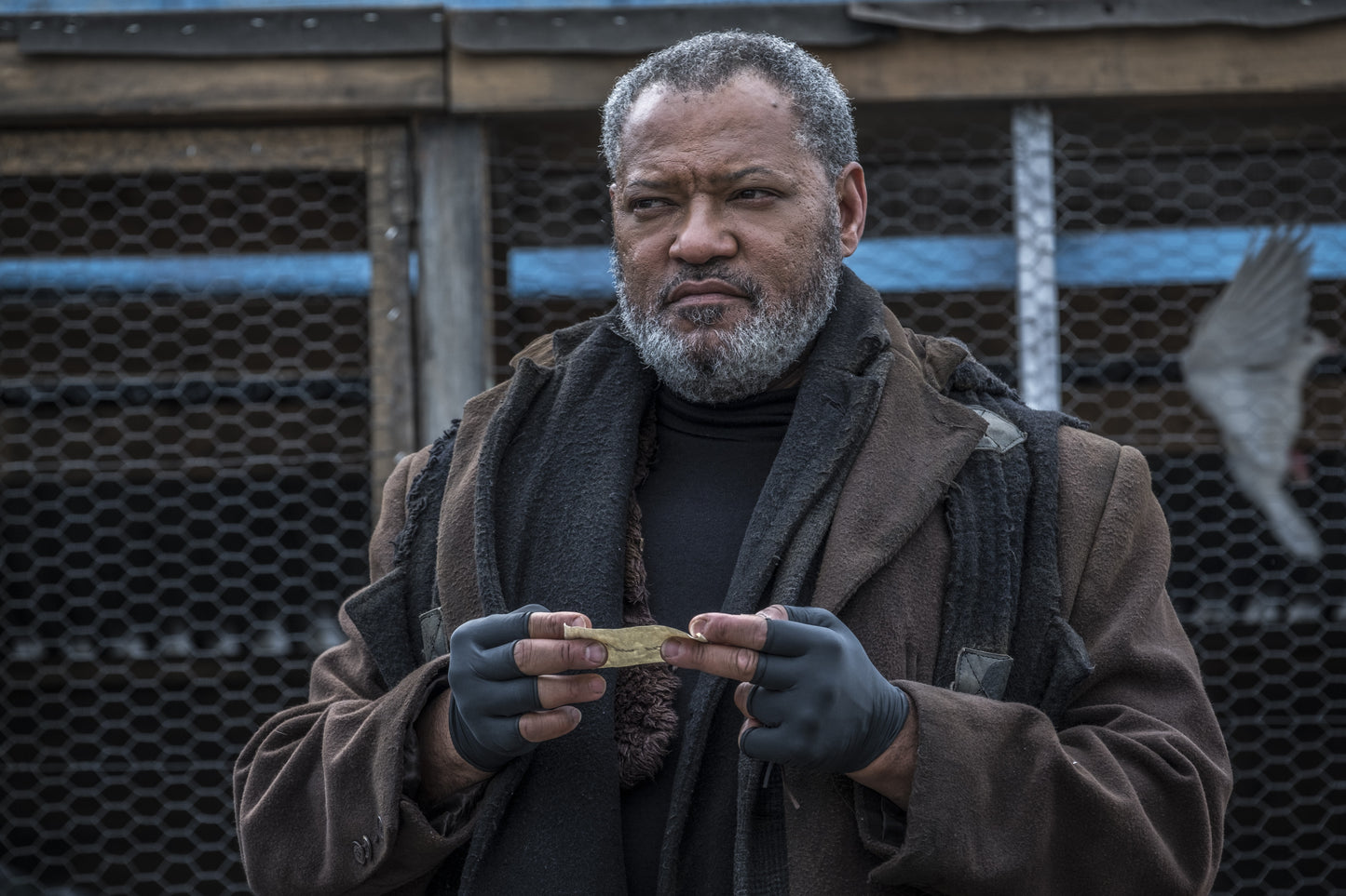 Laurence Fishburne signed John Wick Chapter 3 Image #1 (8x10, 11x14) Pre-Order