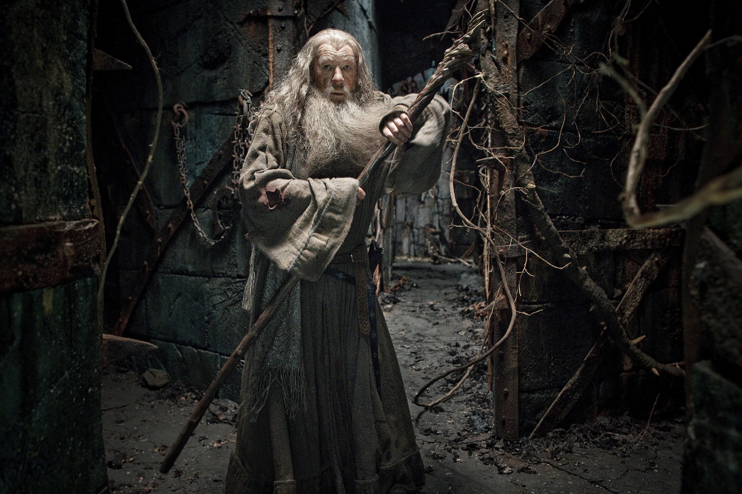 Ian McKellen signed The Hobbit Gandalf Image #10 (8x10, 11x14, 16x20) Pre-Order