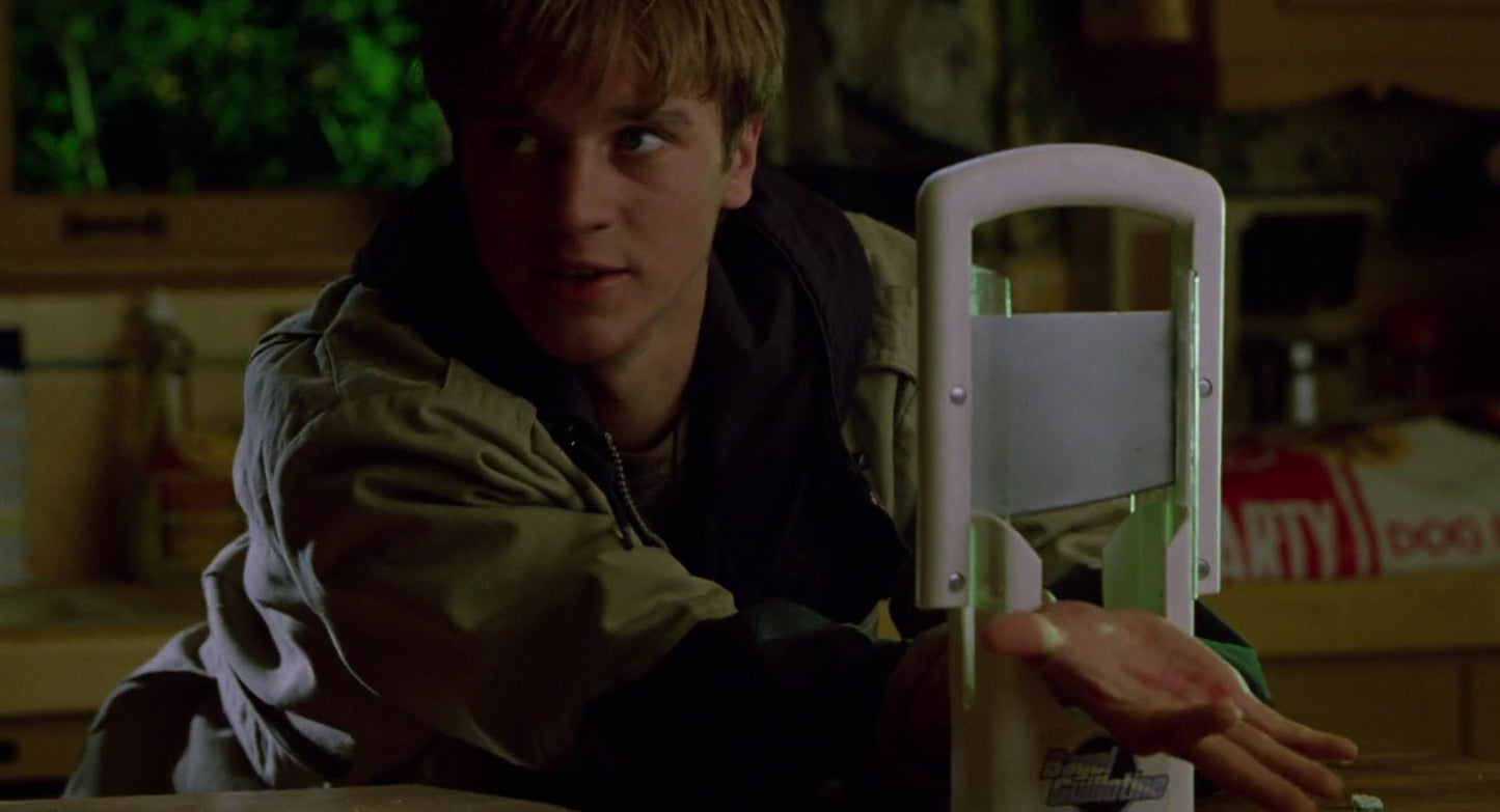 Devon Sawa signed Idle Hands Image #3 (8x10) Pre-Order