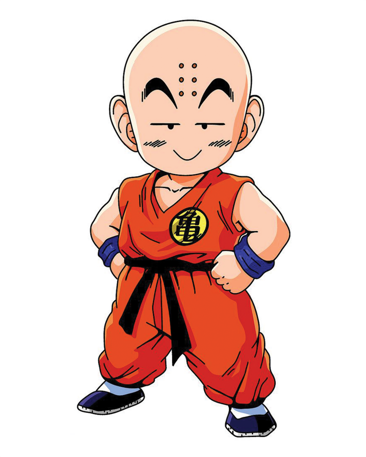 Laurie Steele signed Dragon Ball kid Krillin Image #7 (8x10, 11x14) Pre-Order