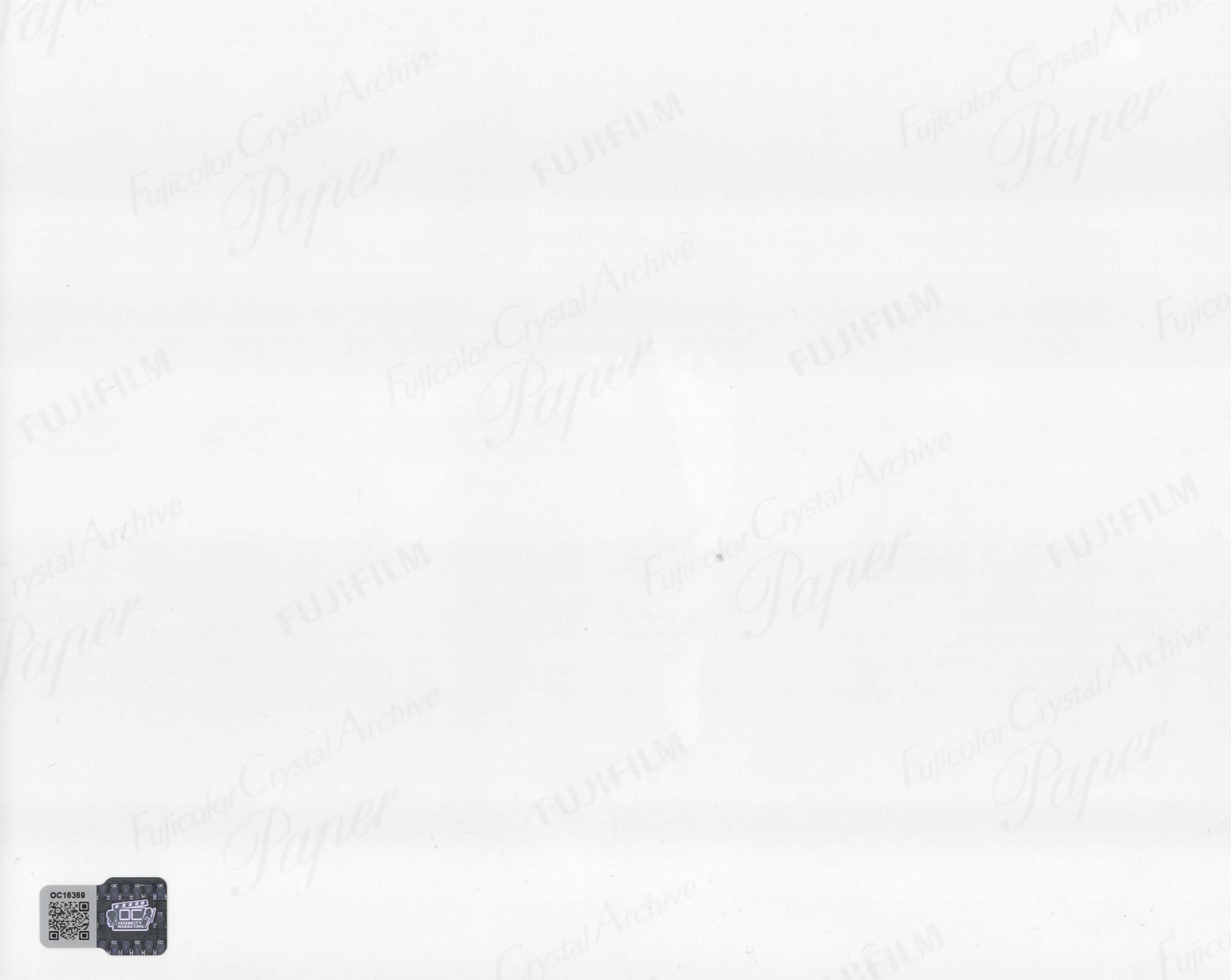 Paul Reubens & Catherine O'Hara signed 8x10 The Nightmare Before Christmas photo