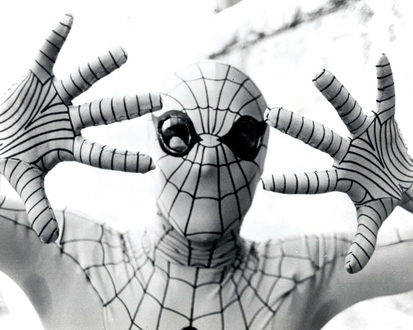 Nicholas Hammond Autograph Pre-Order โ Spider-Man (1977) 8x10 Photo #4