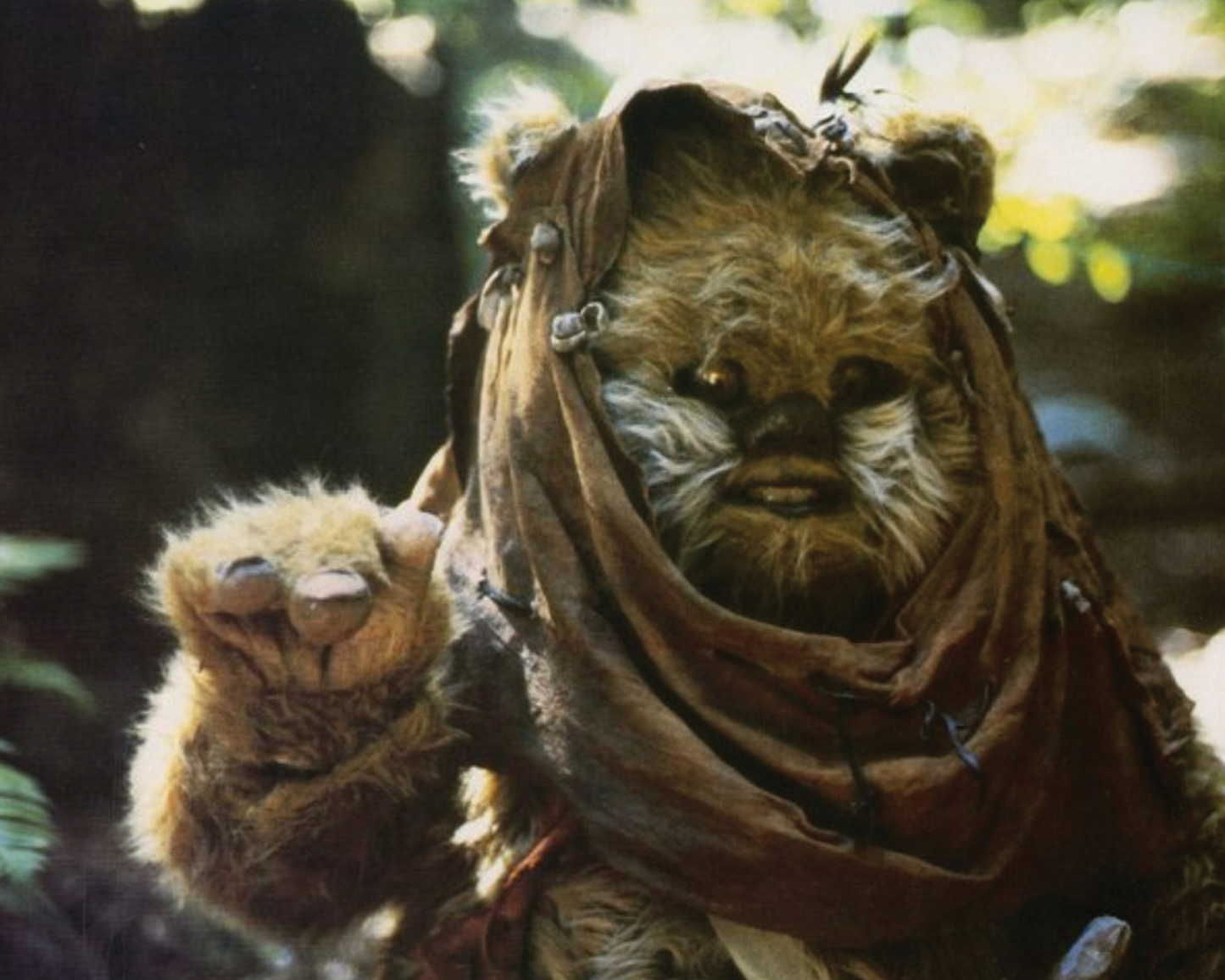 Tony Cox Signed Star Wars Widdle Warrick Ewok Image #1 (8x10, 11x14) Pre-Order