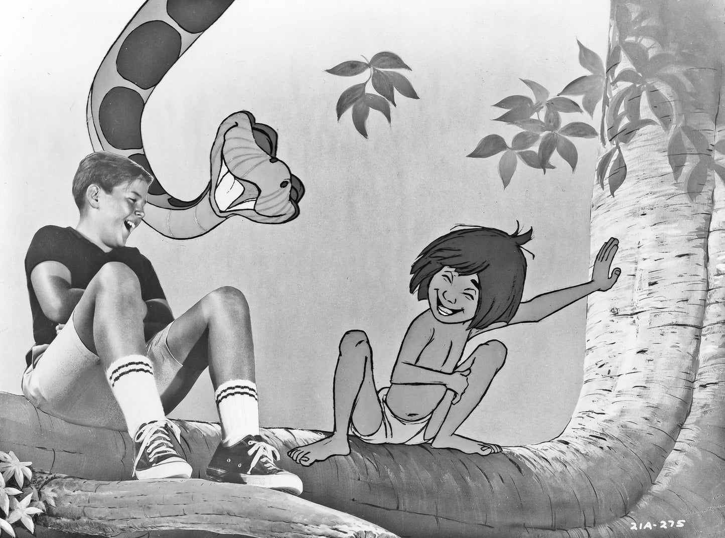 Bruce Reitherman - Signed the voice of Mowgli Image #2 (8x10, 11x14)