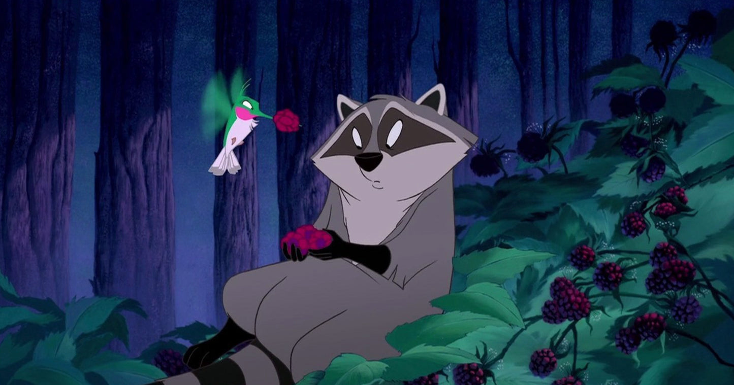 Nik Ranieri signed Disney Pocahontas Meeko Image #1 (8x10, 11x14) Pre-Order