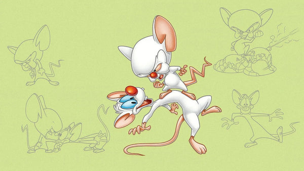 Rob Paulsen signed Pinky  the Brain photo Image #3 (8x10, 11x14) Pre-Order