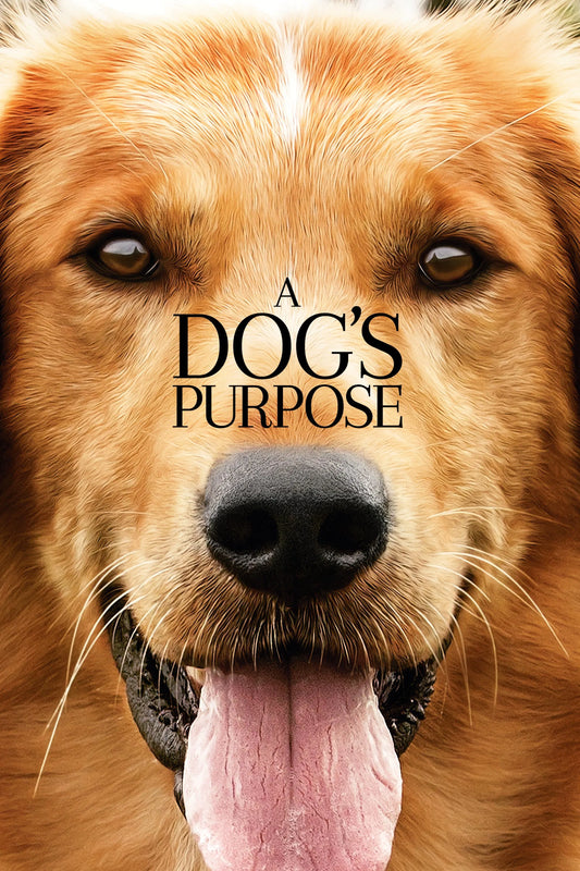 Josh Gad signed A Dog's Purpose Image #1 (8x10, 11x17) Pre-Order