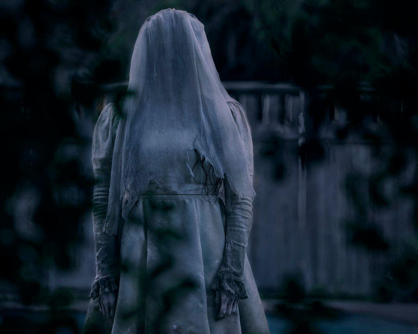 Marisol Ramirez signed The Curse of La Llorona Image #8 (8x10, 11x14) Pre-Order