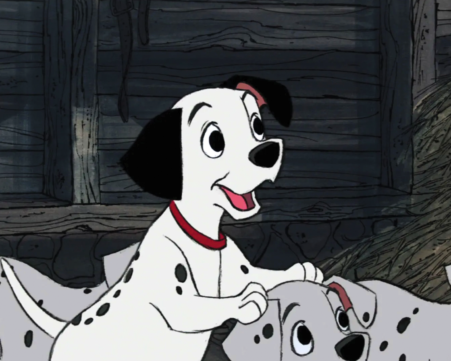 Mimi Gibson Autograph Pre-Order –  Disney 101 Dalmatians Lucky Photo Image #12 (Pre-Order)
