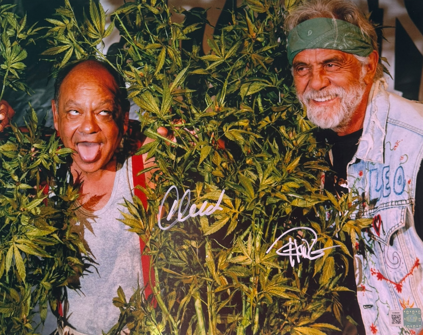 Cheech & Chong signed 11x14 Publicity photo