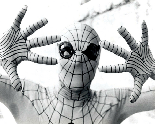 Nicholas Hammond Autograph Pre-Order – Spider-Man (1977) 8x10 Photo #4