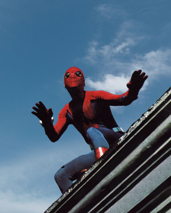 Nicholas Hammond Autograph Pre-Order – Spider-Man (1977) 8x10 Photo #6