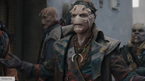 Marti Matulis signed The Mandalorian Vane Image #2 (8x10) Pre-Order