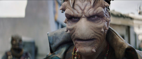 Marti Matulis signed The Mandalorian Vane Image #1 (8x10, 11x14) Pre-Order