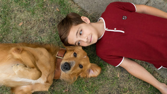 Josh Gad signed A Dog's Purpose Image #3 (8x10, 11x14) Pre-Order