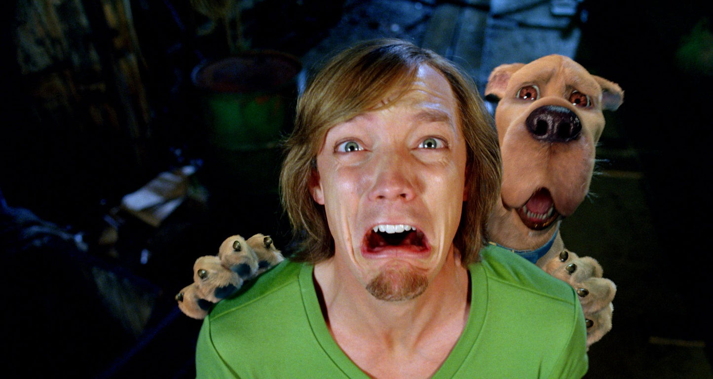 Matthew Lillard signed Scooby-Doo 2 Shaggy Rogers Photo #1 (8x10, 11x14) Pre-Order