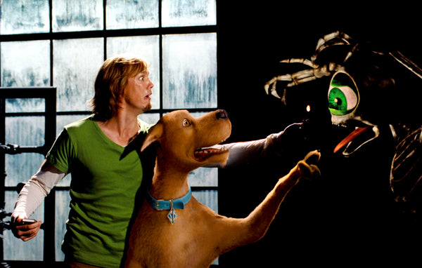 Matthew Lillard signed Scooby-Doo 2 Shaggy Rogers Photo #5 (8x10) Pre-Order