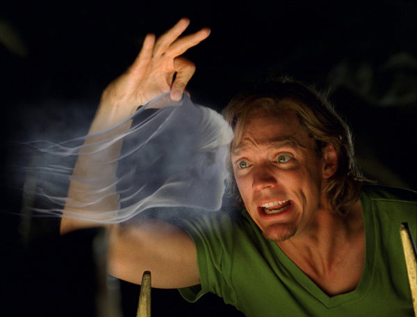 Matthew Lillard signed Scooby-Doo Shaggy Rogers Photo #3 (8x10) Pre-Order