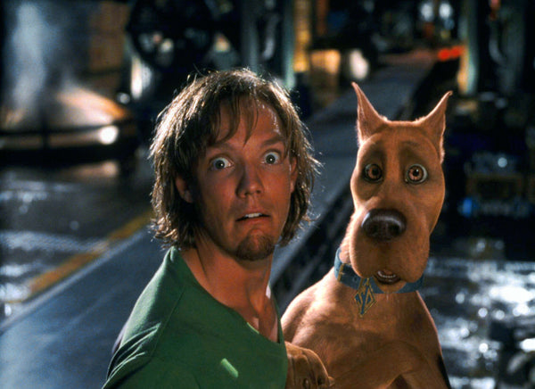 Matthew Lillard signed Scooby-Doo Shaggy Rogers Photo #7 (8x10, 11x14) Pre-Order