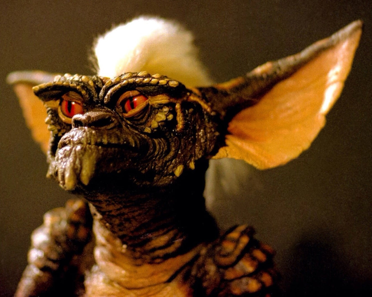 Frank Welker - Signed Gremlins Image #4 (8x10, 11x14)