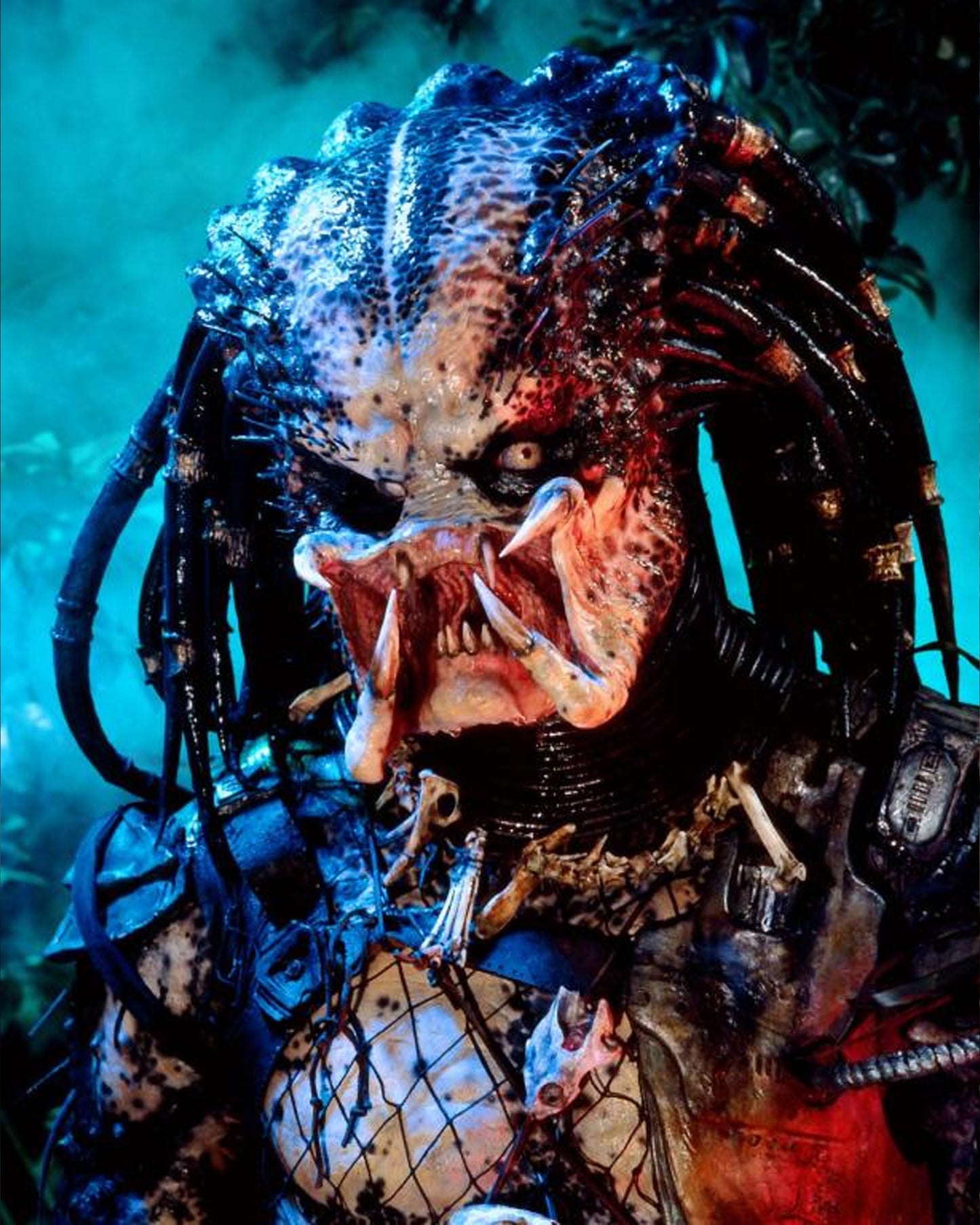 Peter Cullen - Signed Predator Image #6 (8x10, 11x14)